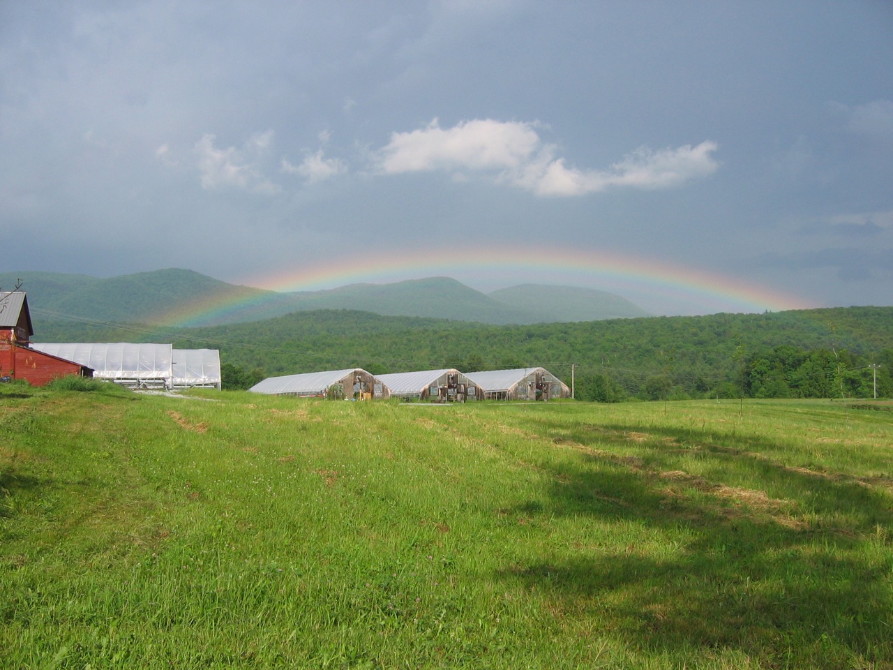 rainbow over greenhouses